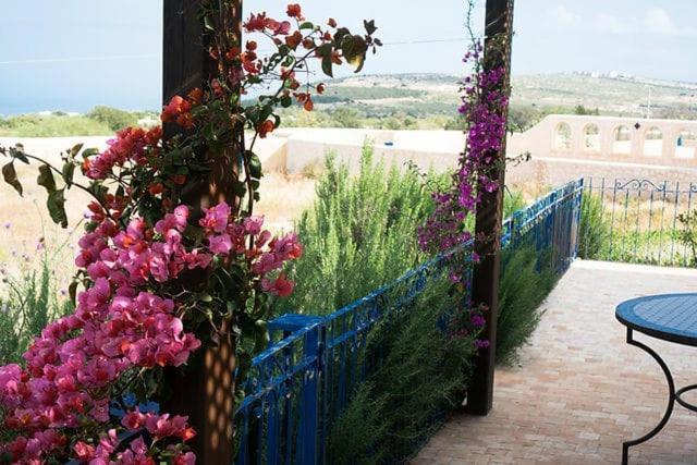 Villa Habibi الصويرة المظهر الخارجي الصورة